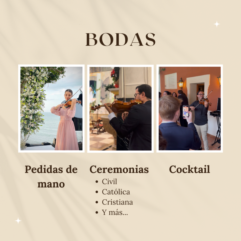 bodas