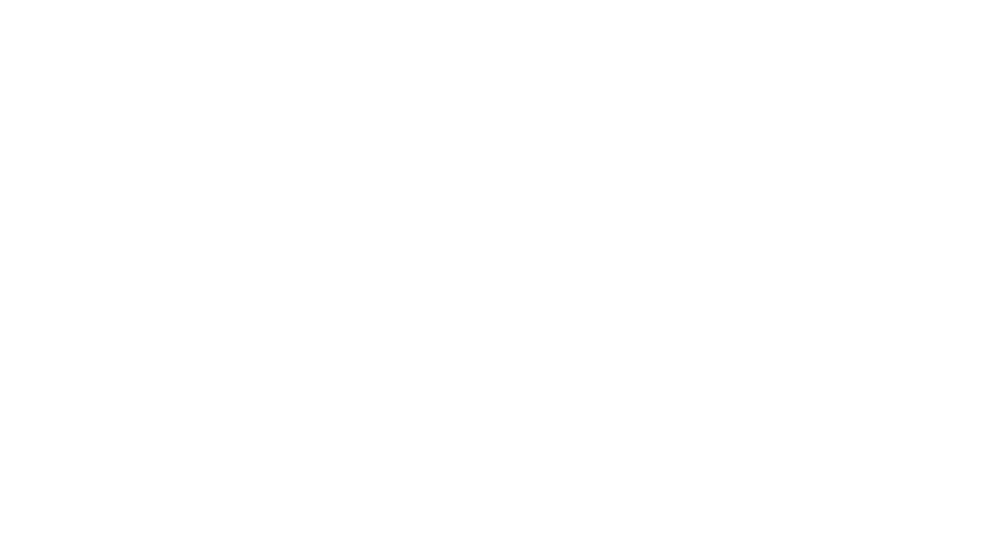 logo white transparent